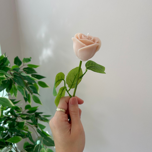 Forever Rose Candle - Velvet Rose & Oud