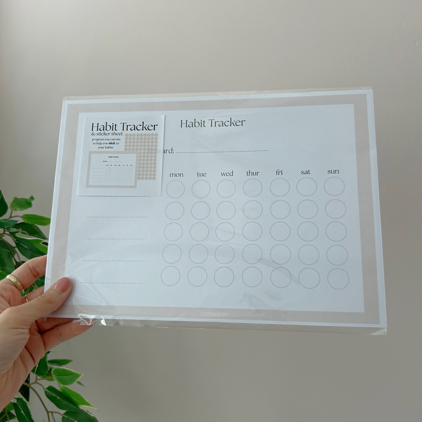 Reward Chart & Stickers