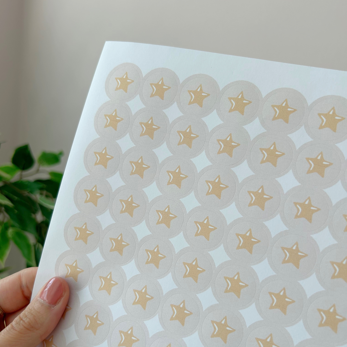 Reward Chart & Stickers